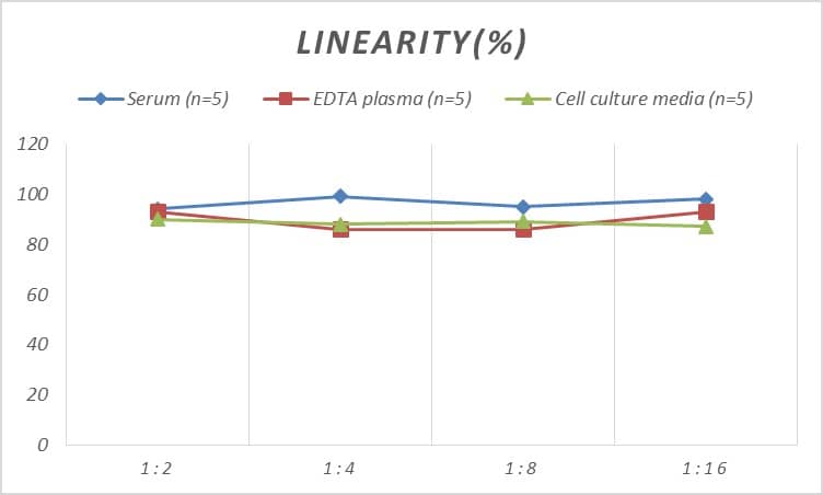 Mouse Caspase-14 ELISA Kit (Colorimetric)