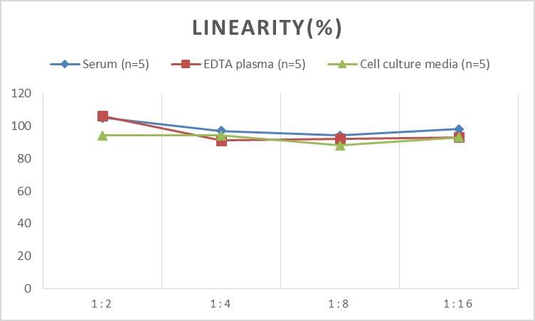 Rat Caspase-14 ELISA Kit (Colorimetric)