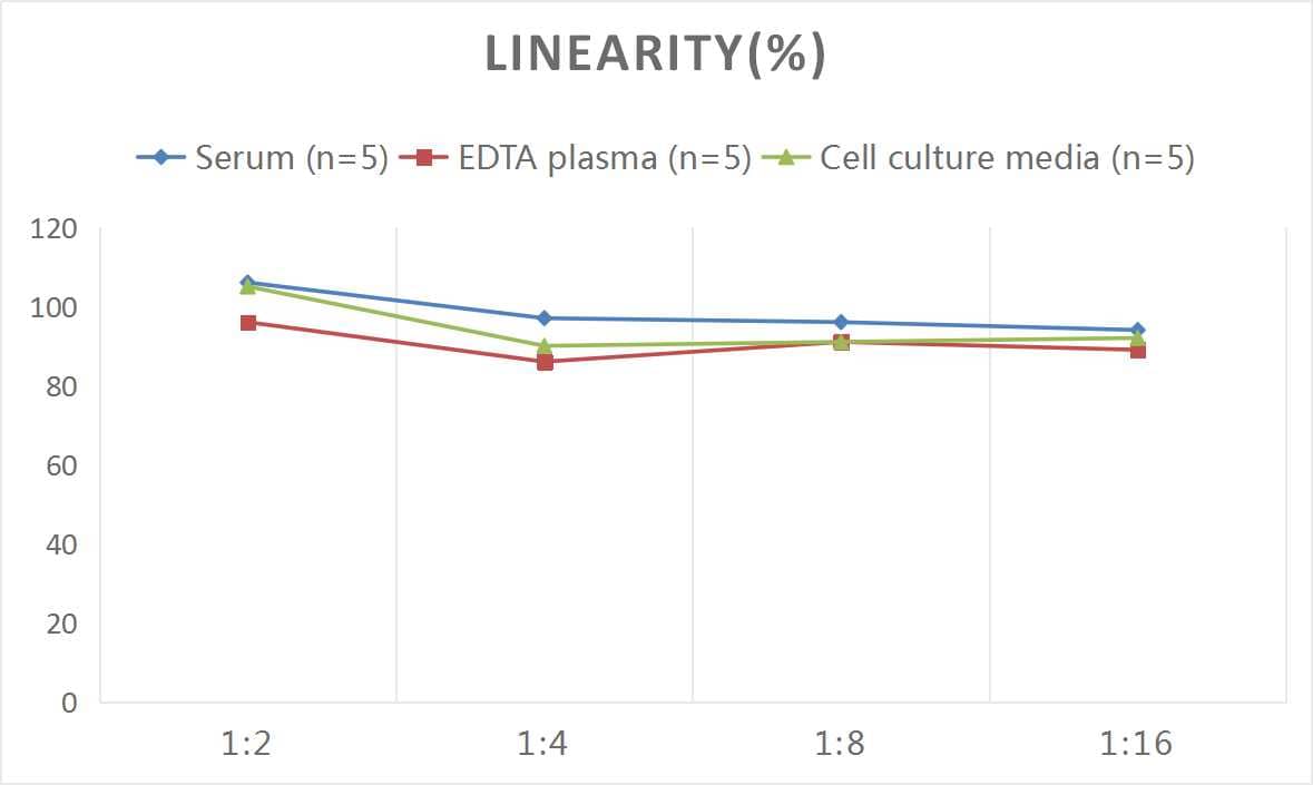 Rat Caspase-3 ELISA Kit (Colorimetric)