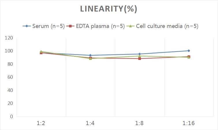 Human Caspase-4 ELISA Kit (Colorimetric)