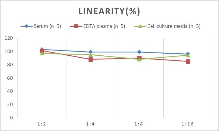 Mouse Caspase-4 ELISA Kit (Colorimetric)