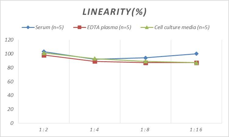 Rat Caspase-4 ELISA Kit (Colorimetric)