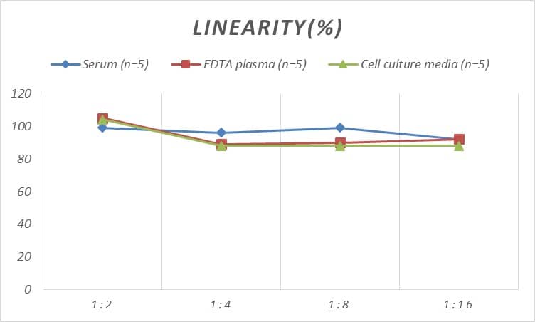 Human Caspase-6 ELISA Kit (Colorimetric)