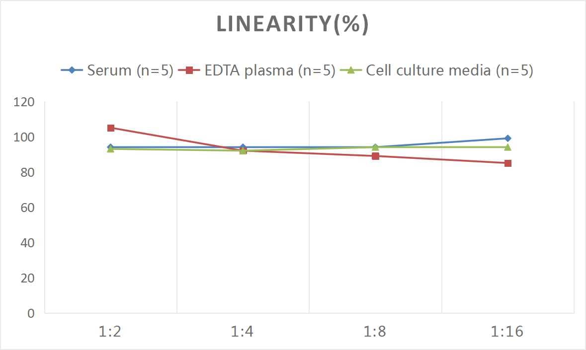 Mouse Caspase-7 ELISA Kit (Colorimetric)