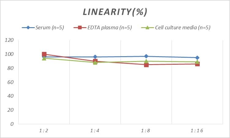 Rat Caspase-7 ELISA Kit (Colorimetric)