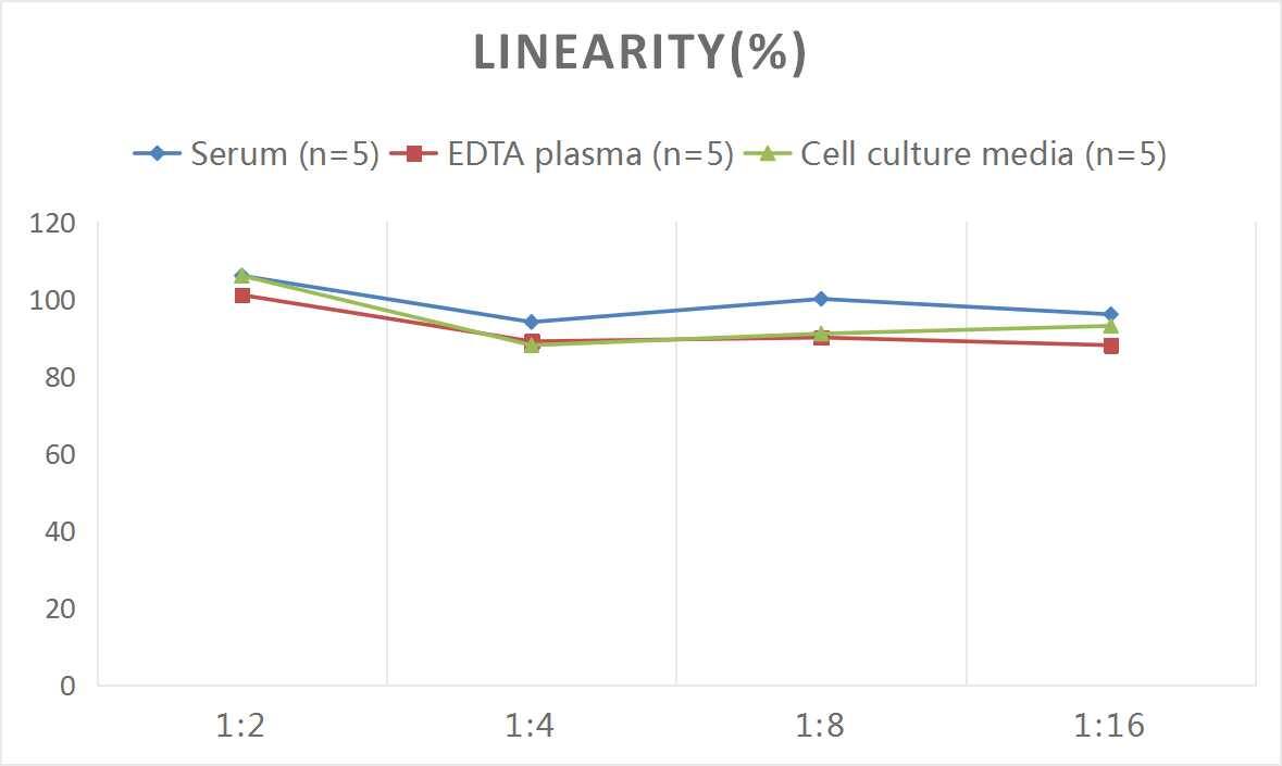 Mouse Caspase-8 ELISA Kit (Colorimetric)