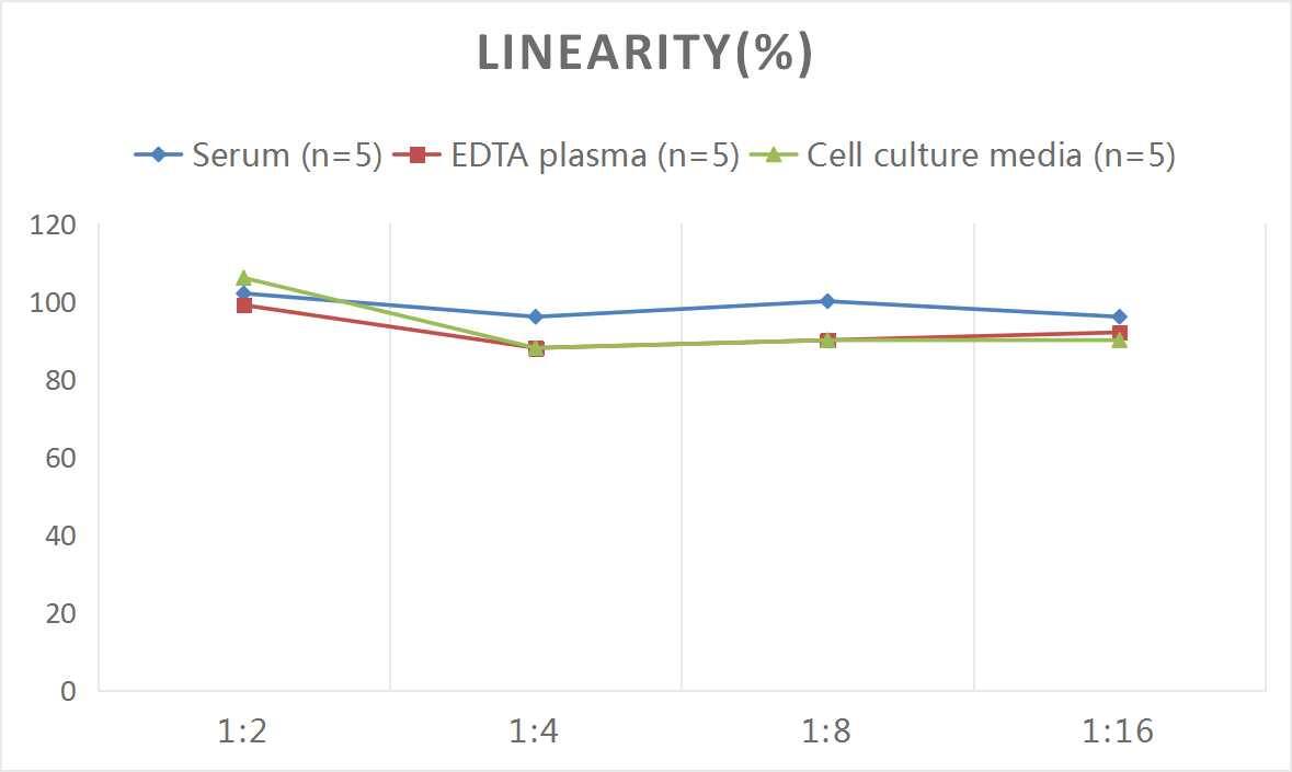 Rat Caspase-8 ELISA Kit (Colorimetric)