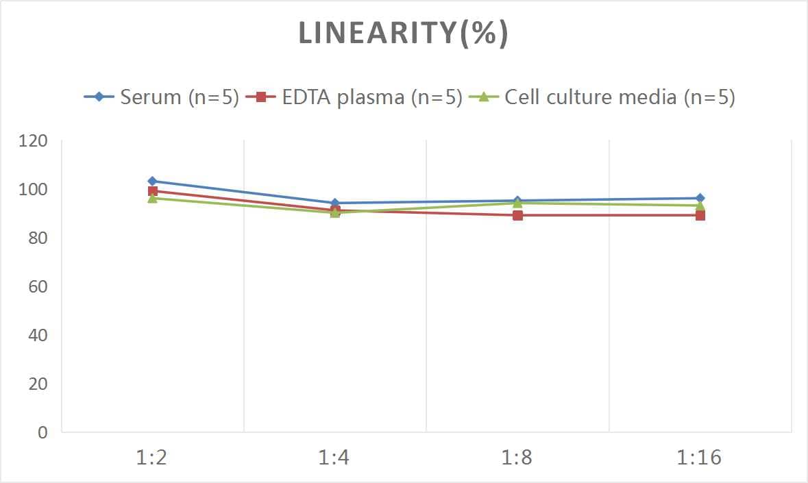 Mouse Caspase-9 ELISA Kit (Colorimetric)