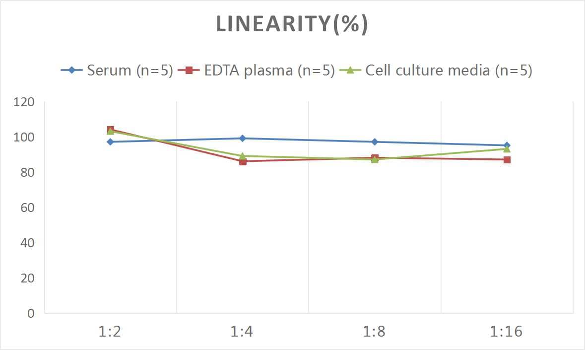 Rat Caspase-9 ELISA Kit (Colorimetric)