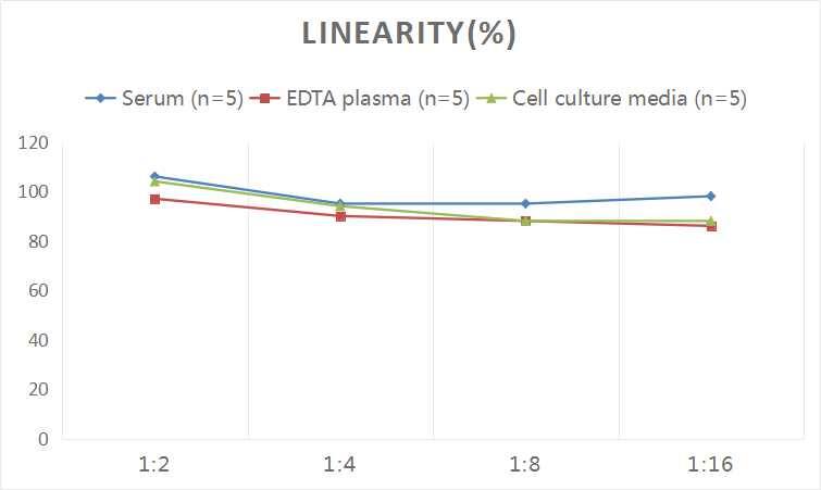 Human Calcium-sensing R/CaSR ELISA Kit (Colorimetric)