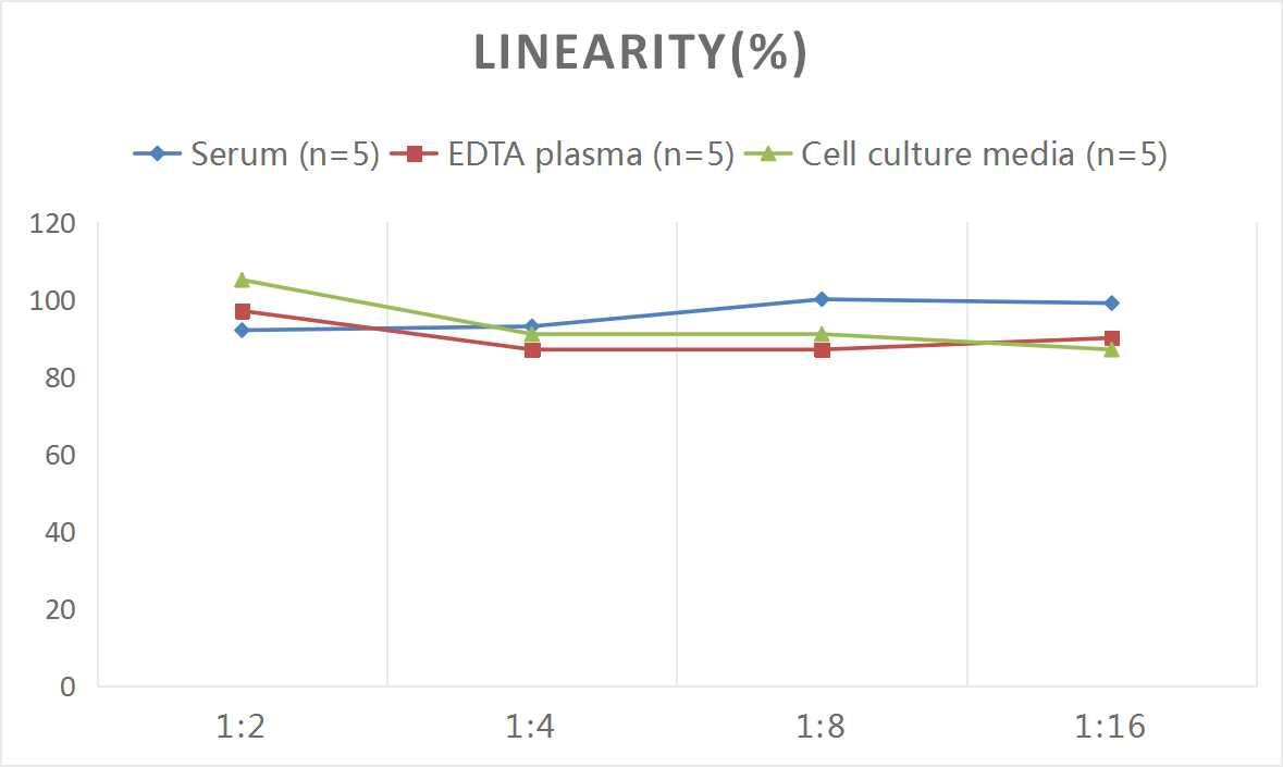 Mouse Calcium-sensing R/CaSR ELISA Kit (Colorimetric)