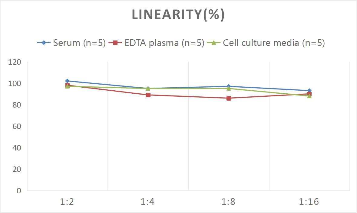 Rat Calcium-sensing R/CaSR ELISA Kit (Colorimetric)