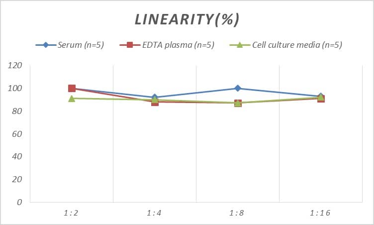 Mouse Calpastatin ELISA Kit (Colorimetric)