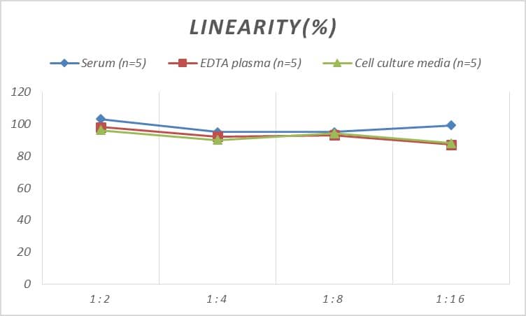 Human CBX3 ELISA Kit (Colorimetric)