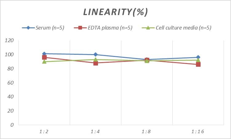 Mouse CBX3 ELISA Kit (Colorimetric)