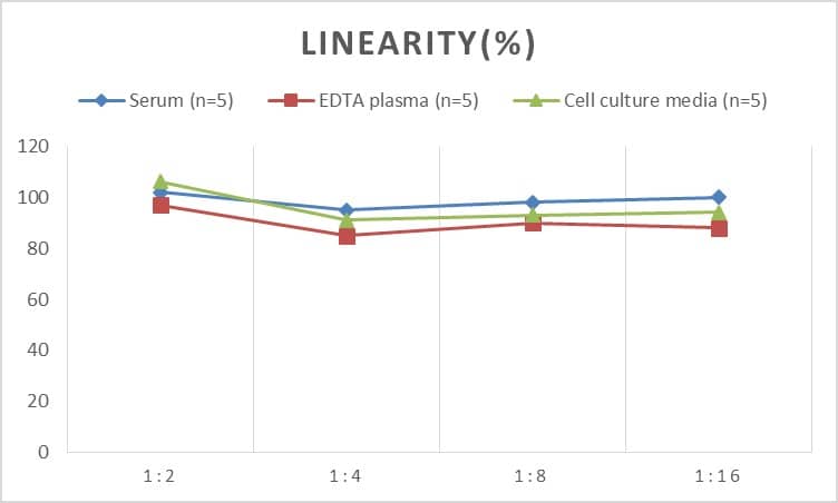 Human CCK-AR ELISA Kit (Colorimetric)