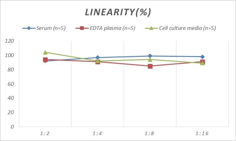 Mouse CCK-AR ELISA Kit (Colorimetric)