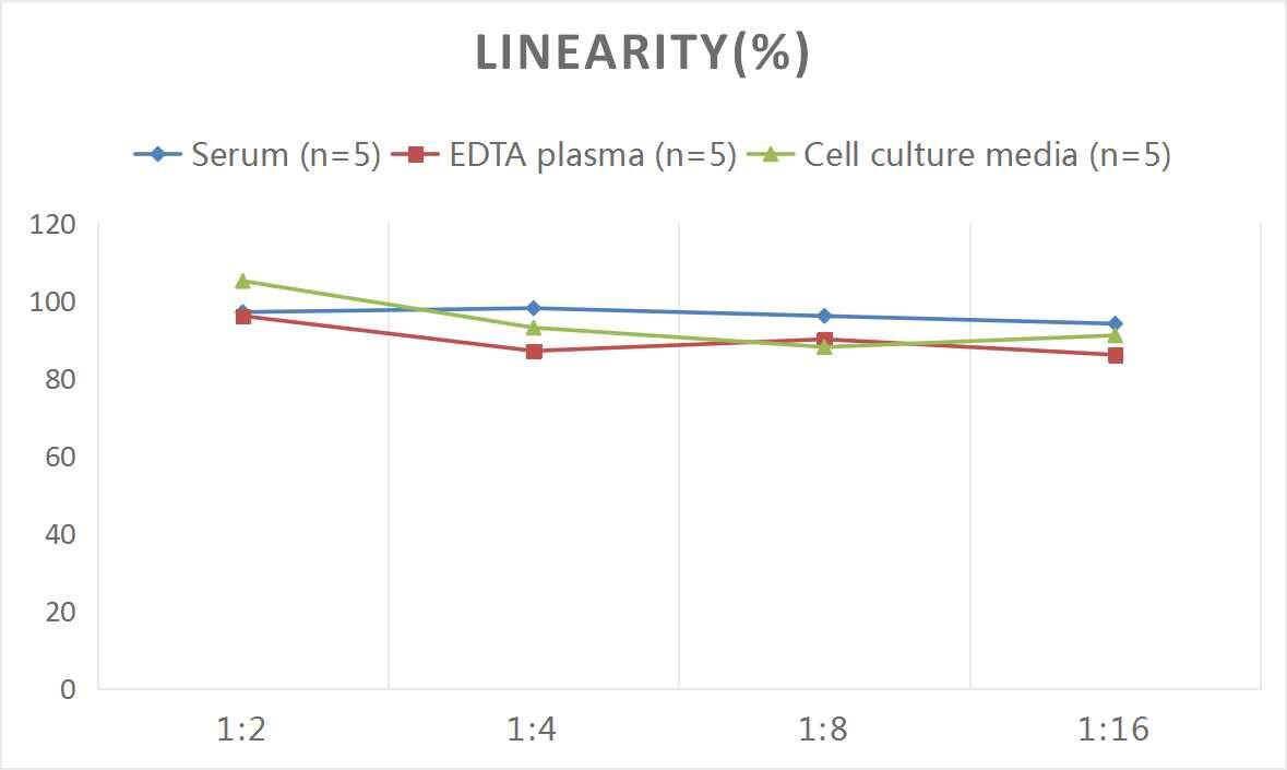 Rat CCK-AR ELISA Kit (Colorimetric)