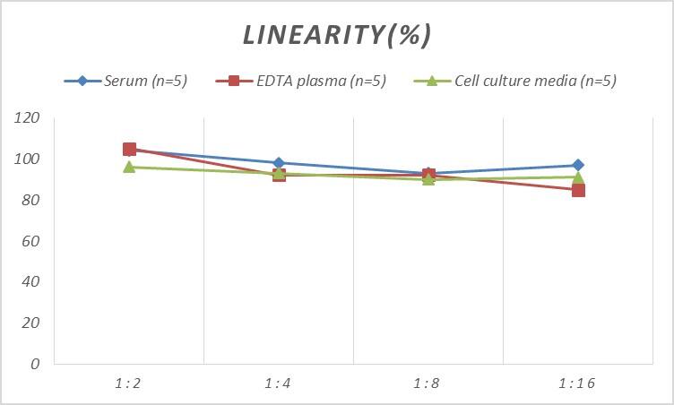 Human Cyclin A1 ELISA Kit (Colorimetric)