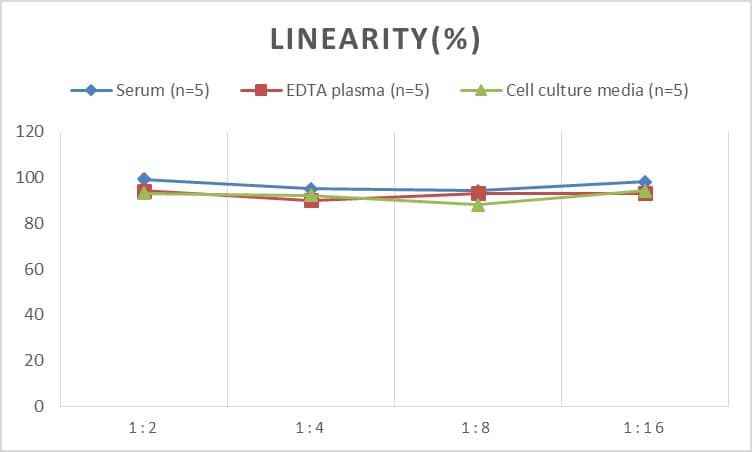 Mouse Cyclin A1 ELISA Kit (Colorimetric)