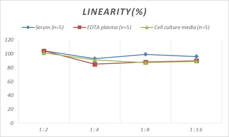 Rat Cyclin A1 ELISA Kit (Colorimetric)