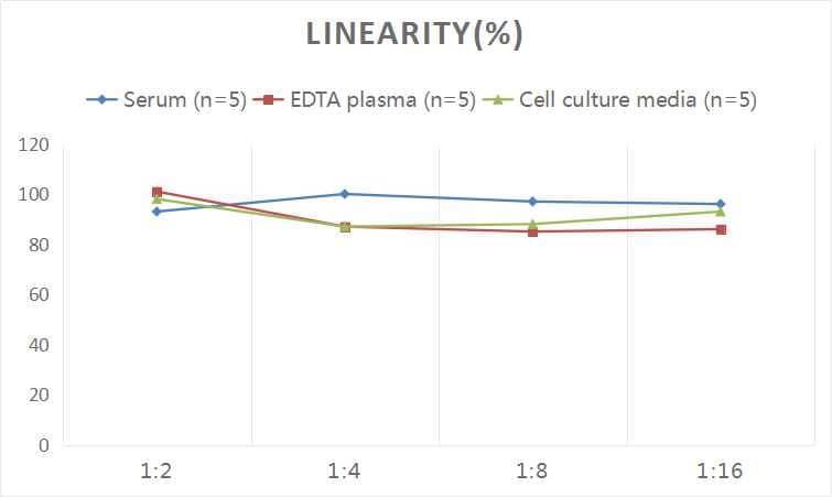 Human Cyclin B1 ELISA Kit (Colorimetric)