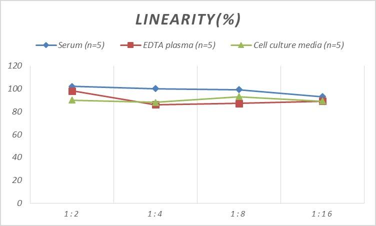 Human Cyclin D2 ELISA Kit (Colorimetric)