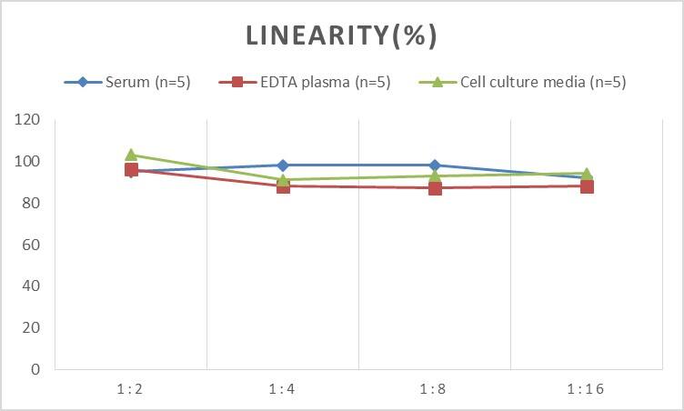 Mouse Cyclin D2 ELISA Kit (Colorimetric)