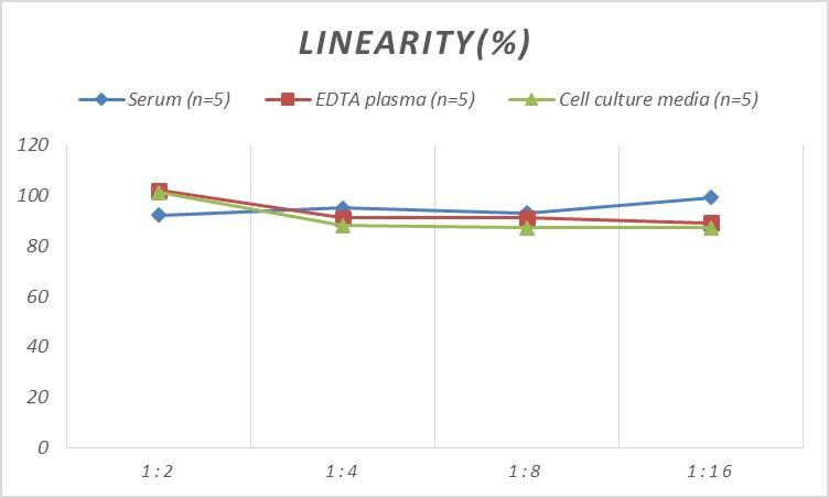 Rat Cyclin D2 ELISA Kit (Colorimetric)