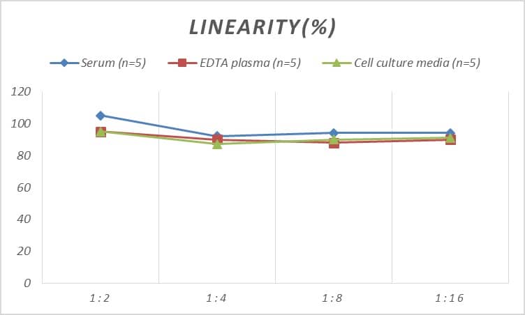 Mouse Cyclin D3 ELISA Kit (Colorimetric)