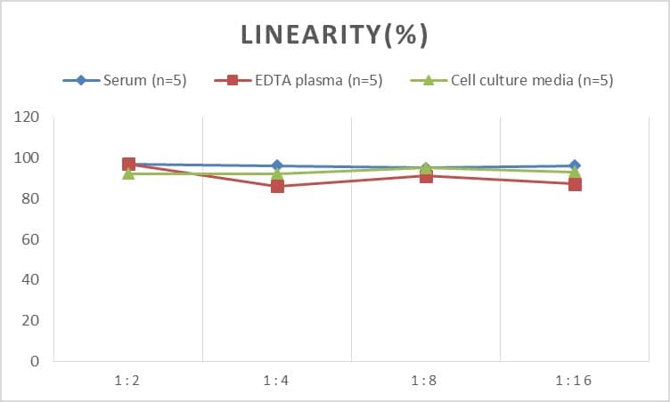 Rat Cyclin D3 ELISA Kit (Colorimetric)