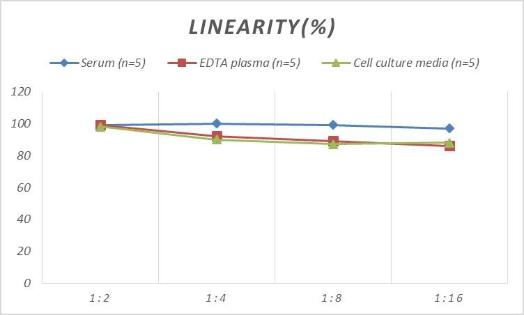 Mouse Cyclin E1 ELISA Kit (Colorimetric)