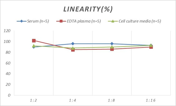 Rat Cyclin E1 ELISA Kit (Colorimetric)