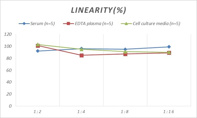 Mouse Cyclin E2 ELISA Kit (Colorimetric)