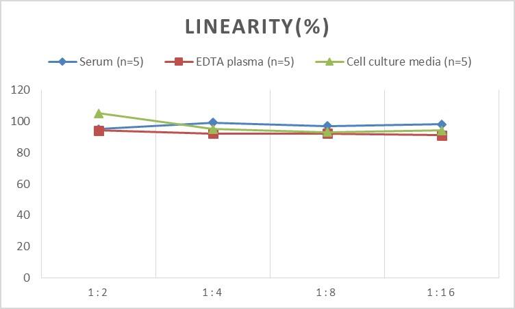 Rat Cyclin E2 ELISA Kit (Colorimetric)