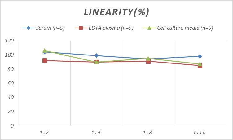 Human CCR1 ELISA Kit (Colorimetric)