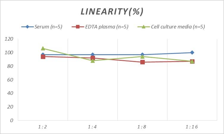 Rat CCR1 ELISA Kit (Colorimetric)