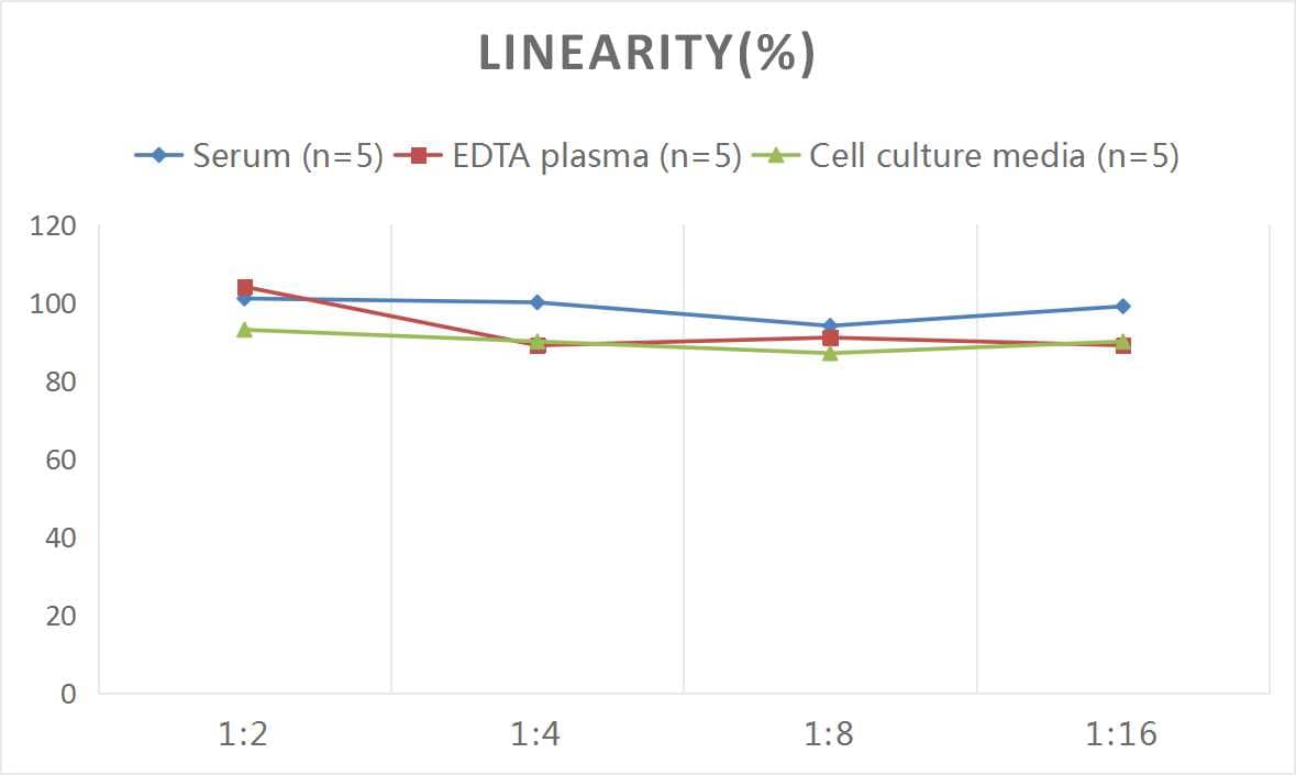 Human CCR2 ELISA Kit (Colorimetric)