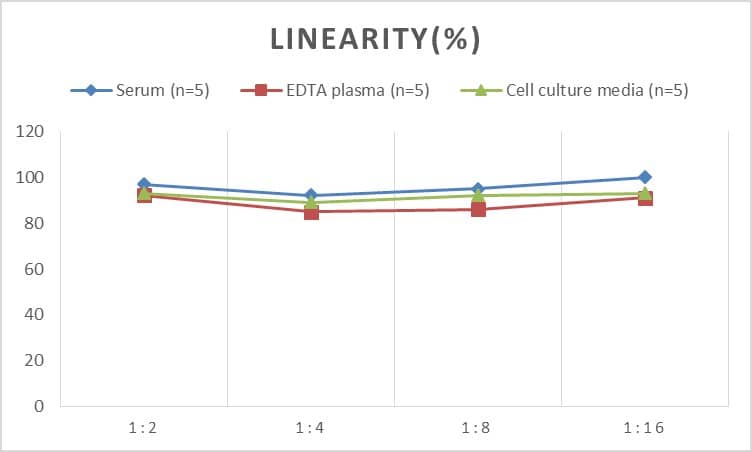 Human CCR8 ELISA Kit (Colorimetric)