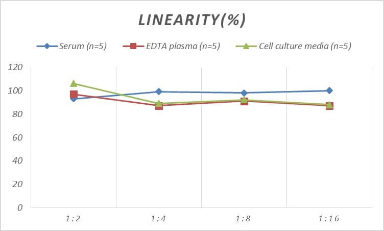 Mouse CCR8 ELISA Kit (Colorimetric)