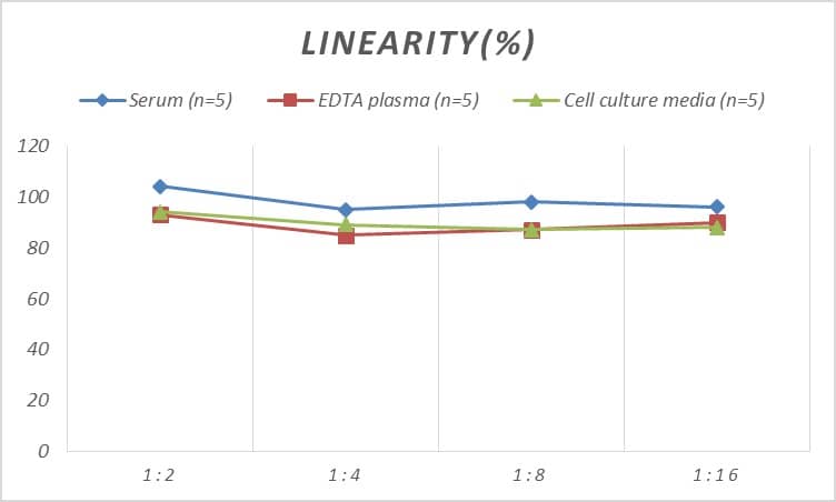 Rat CCR8 ELISA Kit (Colorimetric)