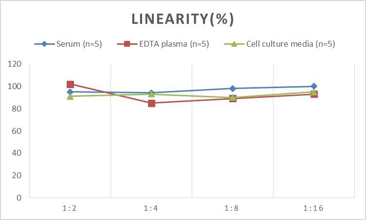 Human CCR11 ELISA Kit (Colorimetric)