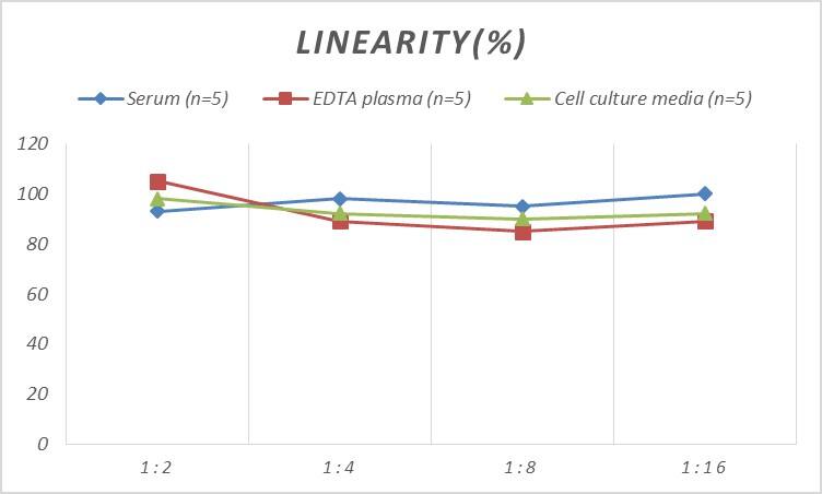 Rat CCR11 ELISA Kit (Colorimetric)