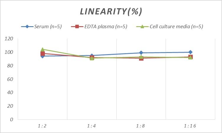 Human CCT6A ELISA Kit (Colorimetric)