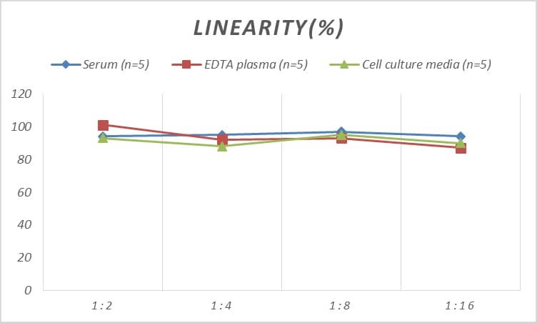 Human CCT8 ELISA Kit (Colorimetric)