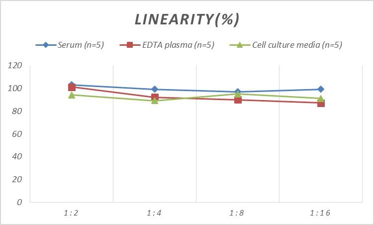 Human CCT8L1P ELISA Kit (Colorimetric)