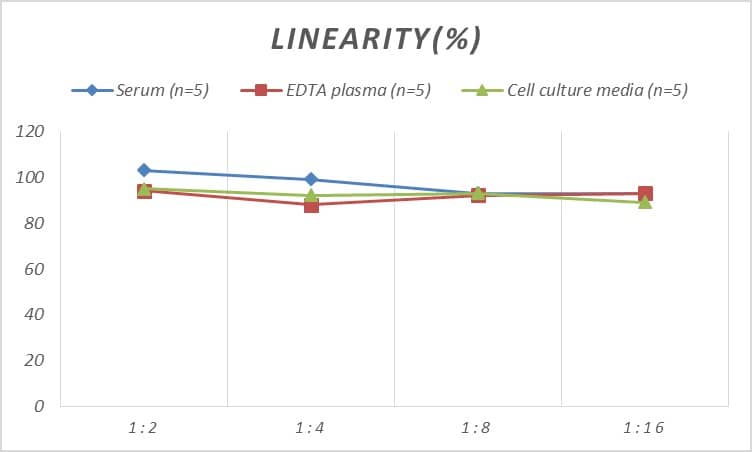 Rat CD163 ELISA Kit (Colorimetric)