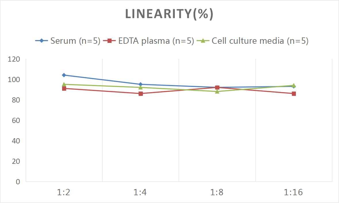 Human CD19 ELISA Kit (Colorimetric)