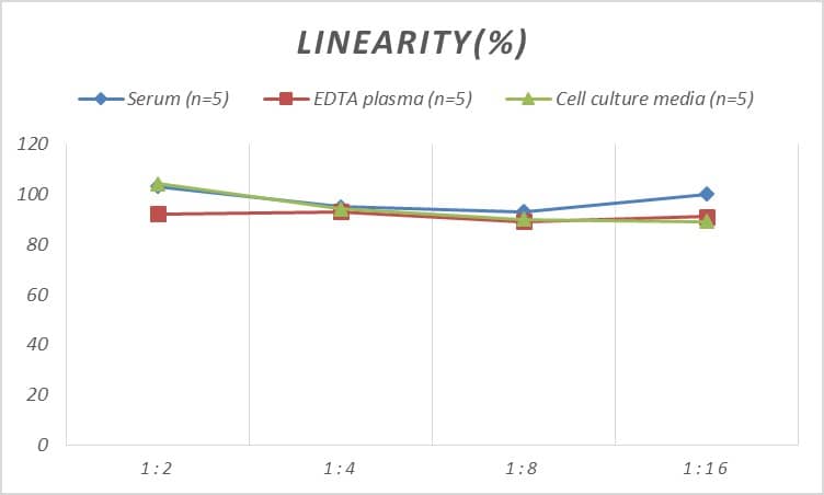 Mouse CD19 ELISA Kit (Colorimetric)