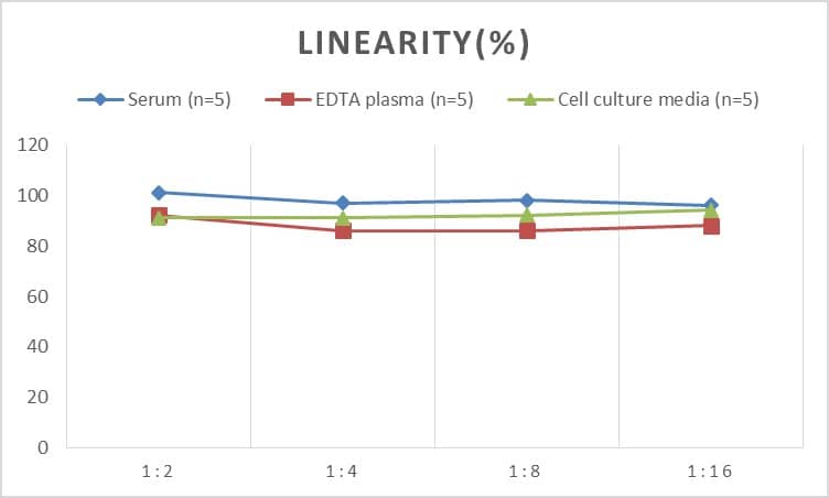 Human CD200/OX2 ELISA Kit (Colorimetric)